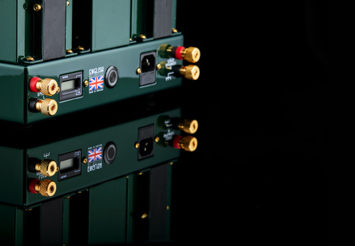 English Acoustics Stereo 21c British Green AP017784