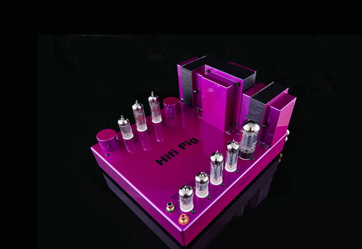 HiFi PiG 21c AP018759 small