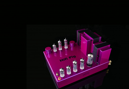 HiFi PiG 21c AP018697