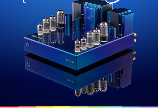 Peacock Flip paint 41c AD 1080x1350px6