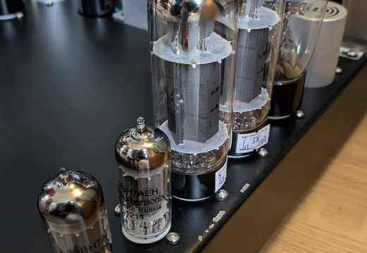 PXL 20241114 123034665