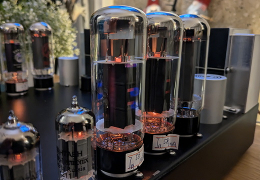 PXL 20241121 191941228